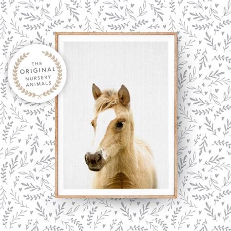 Baby Horse Print Farm Animal Nursery Decor Girl Boy Printable Etsy