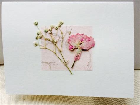 Pressed Rose Dried Flower Card Dry Floral Notecard Pressed Etsy