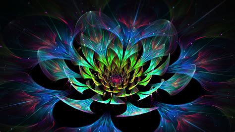 Glittering Colorful Flower Fractal Hd Abstract Wallpapers