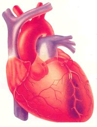 Check spelling or type a new query. Utterly and Entirely Useless: The Story Behind the Heart Shape