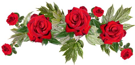 Free Photo Anniversary Flower Arrangement Bouquet Roses Red Max Pixel