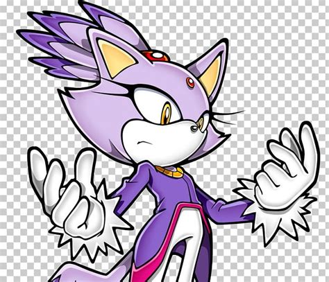 Amy Rose Cat Sonic Rush Shadow The Hedgehog Sonic And The Black Knight