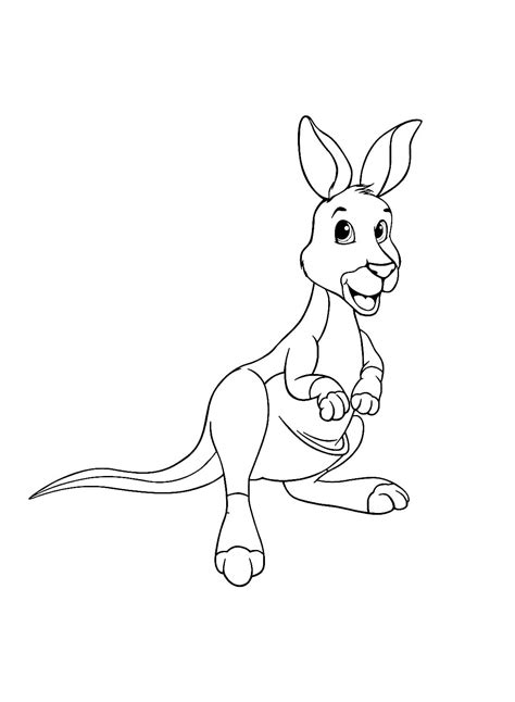 Cartoon Smiling Kangaroo Coloring Page Download Print Or Color