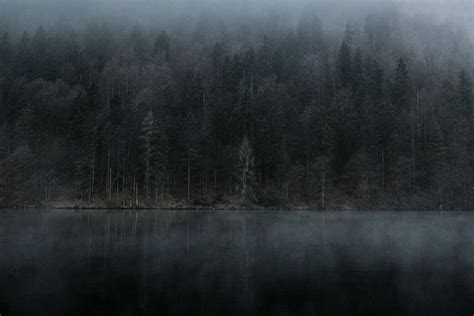 Hd Wallpaper Calm Body Of Water Foggy Forest And Bodies Of Water