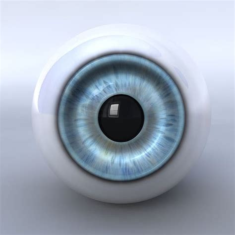 Human Eyeball 3d Model Obj 3ds Fbx C4d Pdf