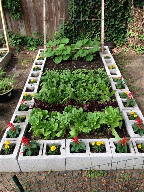Simple Steps To Start A Garden For The Beginner Small Vegetable