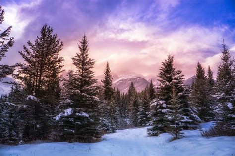 Nature Landscape Forest Winter Mountain Clouds Snow