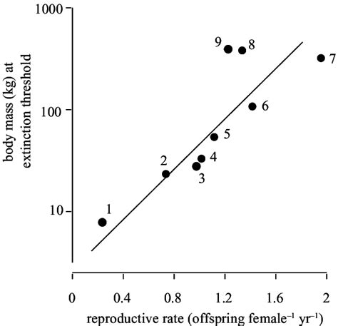 relationship between body mass and reproductive rate for all species download scientific