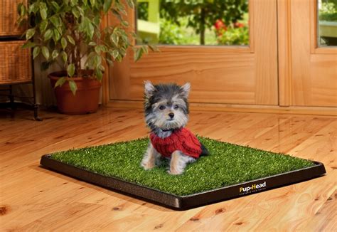 Arf pets self cooling mat pad for kennels. 10 Accessories That Are a Must Have For a Dog Owner | Pets ...
