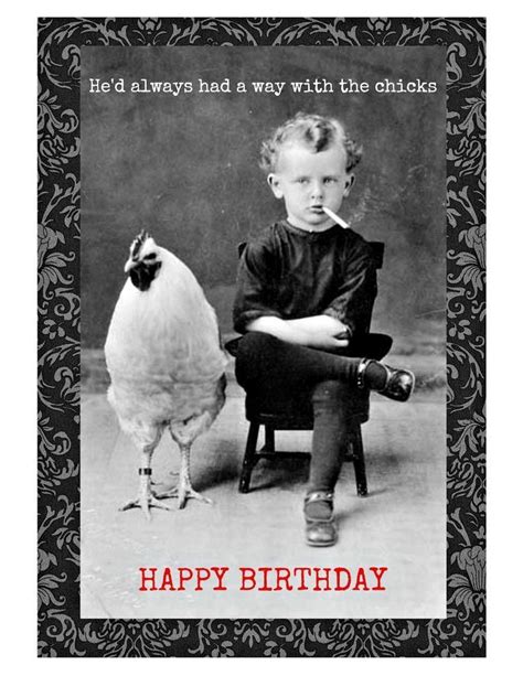 Download The Fresh Funny Animal Birthday Memes Old Hilarious Pets