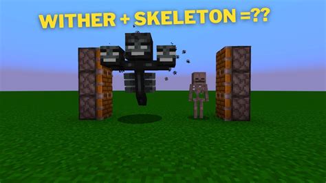 Minecraft Wither Skeleton Youtube