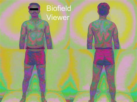 Journey Into The Anatomy And Physiology Of The Human Biofield With The