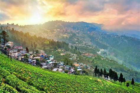 Why You Must Totally Visit Darjeeling In Monsoon