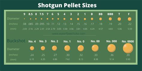Shotgun Shot Sizes Chart