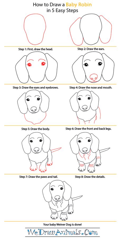 How To Draw A Baby Wiener Dog