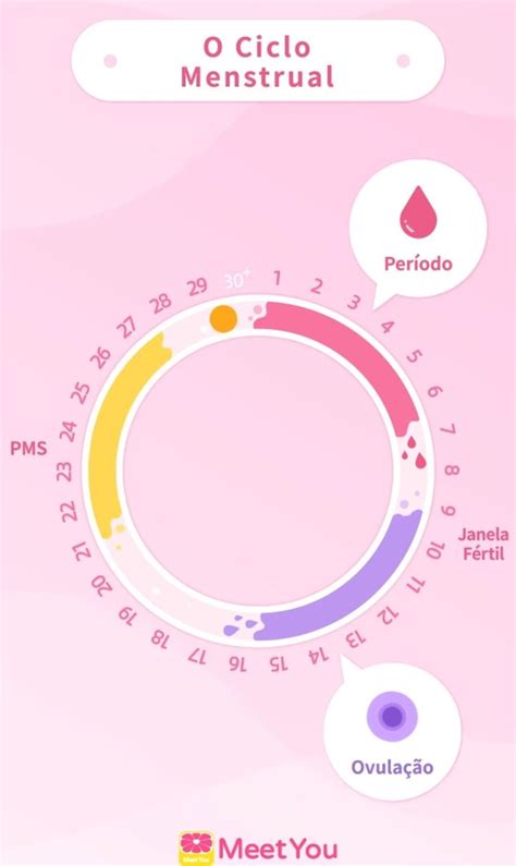 Fases Do Ciclo Menstrual Map Map Screenshot