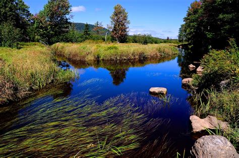 Canaan Valley Resort State Park Wv 3hrs Canaan Valley State Parks