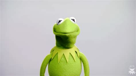 Hear Kermit The Frogs New Voice