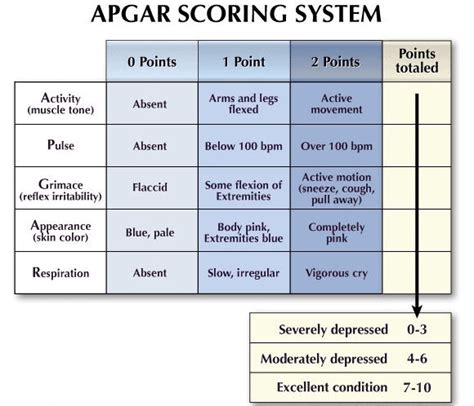 Whats A Low Apgar Score And Why Is It Important