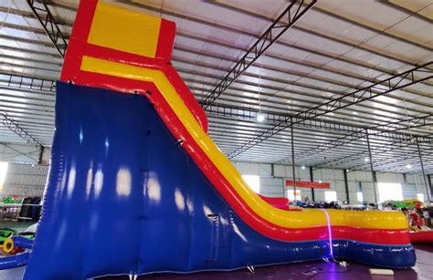 20ft Themed Dual Lane Slide Mr Bounce Inflatable Rentals
