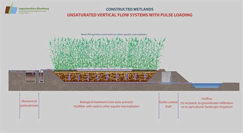 Constructed Wetlands Reed Bed Treatment System