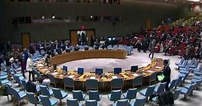 Security Council: The situation in the Bolivarian Republic of Venezuela