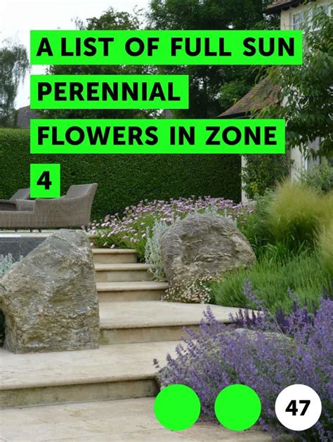 Learn A List Of Full Sun Perennial Flowers In Zone 4 How To Guides