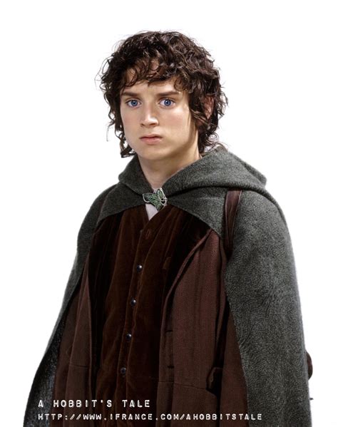 Elijah Wood As Frodo Baggins