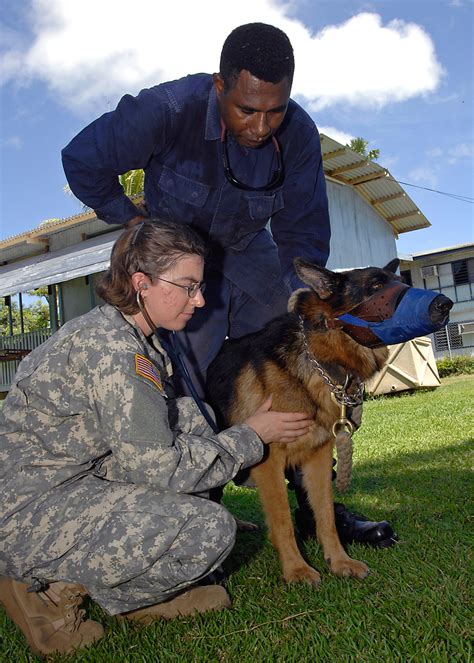 File:US Navy 070814-N-4954I-010 U.S. Army veterinarian Capt. Therese