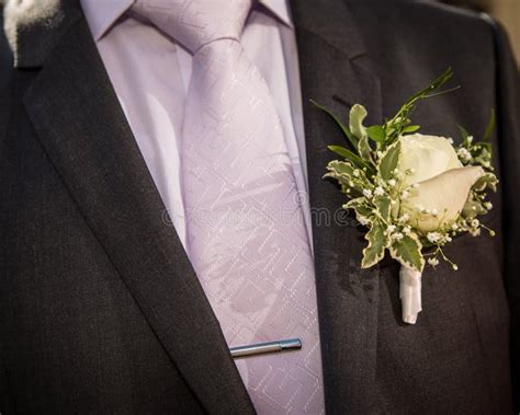 Flower In The Lapel Stock Photo Image Of Formal Wear 34243738