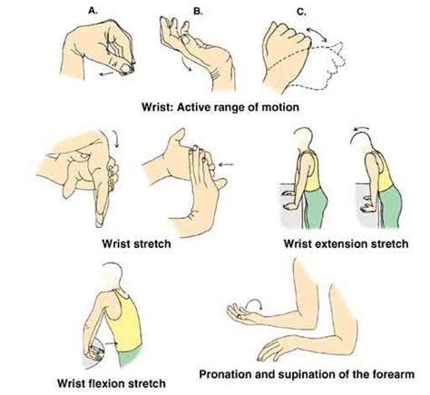 √ Best Wrist Exercise