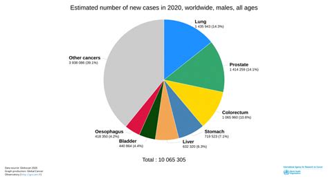 Globocan 2020 New Global Cancer Data Uicc