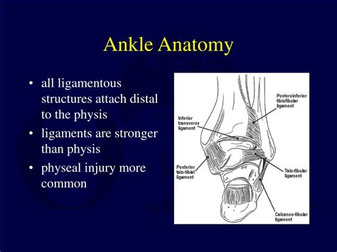 Ppt Pediatric Ankle And Foot Fractures Powerpoint
