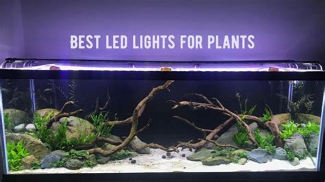 Best Led Aquarium Lighting For Plants 10 Led Lights For Planted Tank