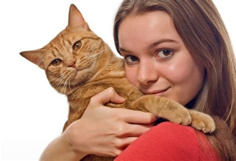 Top Ten Reasons To Hug Your Cat Petmd