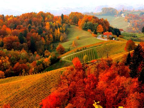 An Autumn Scene With Colorful Trees In The Foreground And A Farm On The