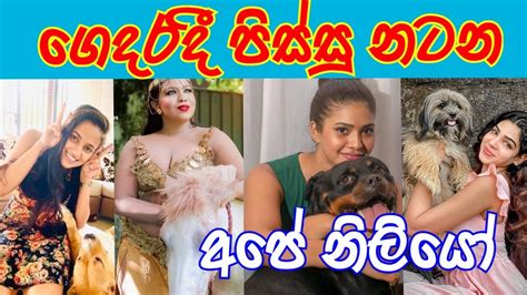 Sri Lanka Charter Famous Actress Sl Niliyo Sl Actress Hot Hot