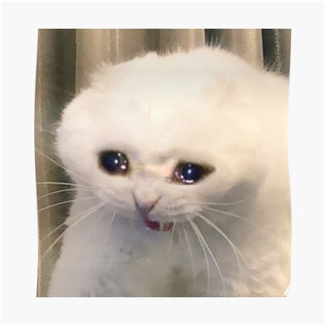 44 Crying Grumpy Cat Meme