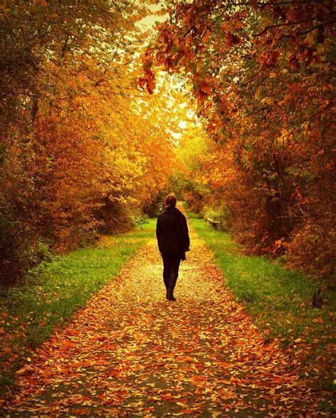 Autumn Path By Anneclaires On Deviantart Beautiful Nature Autumn