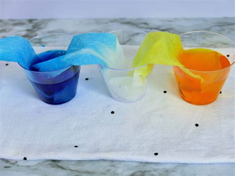 Easy Rainbow Walking Water Experiment For Kids