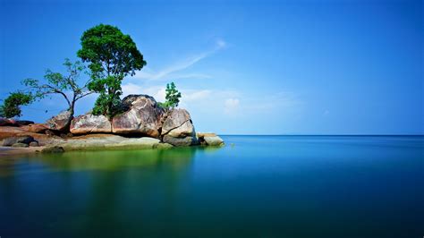 Rock Trees Sea Nature Alone Landscape Wallpapers Hd Desktop And Mobile Backgrounds
