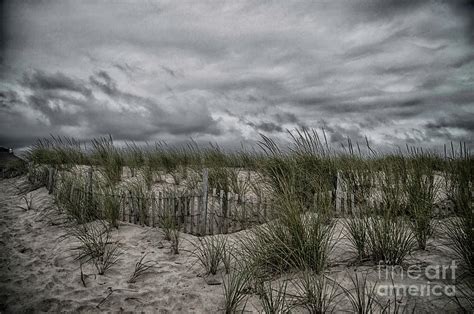 Dunes Day Photograph By Judy Hall Folde Fine Art America