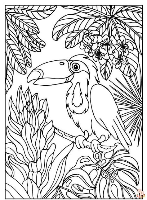 Free Printable Coloring Pages Rainforest