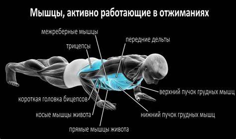 Можно накачаться отжиманиями от пола дома