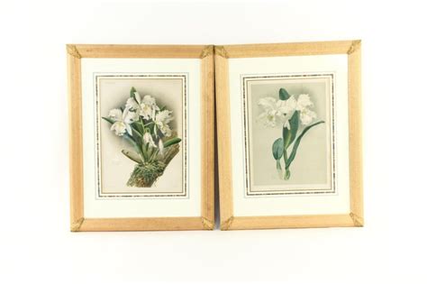 Set Of Four Large Framed Botanical Prints For Sale At 1stdibs