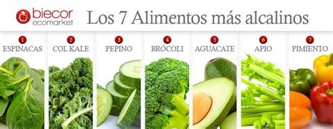 Los 7 Alimentos Más Alcalinos Blog Ecológico Alimentos Nutricion