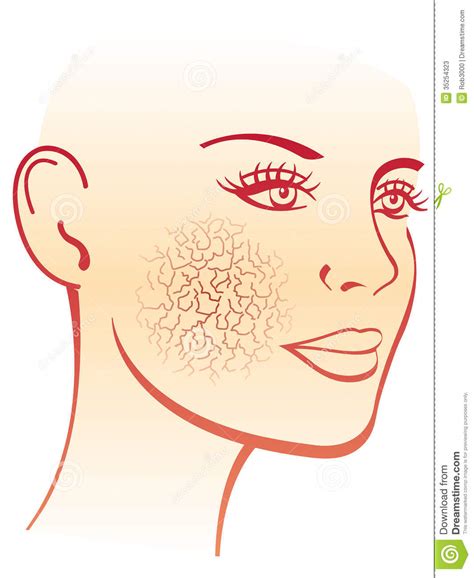 Skin Clipart 20 Free Cliparts Download Images On Clipground 2023