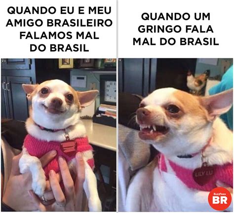 Memes Sobre O Brasil Que S Os Brasileiros V O Entender
