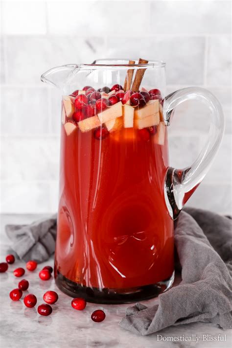 Sparkling Cranberry Apple Cider Punch Domestically Blissful