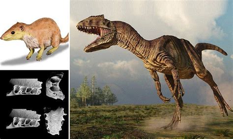 Mammals Diversified Millions Of Years Before Dinosaurs Went Extinct